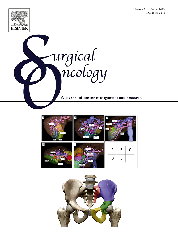 Go to journal home page - Surgical Oncology